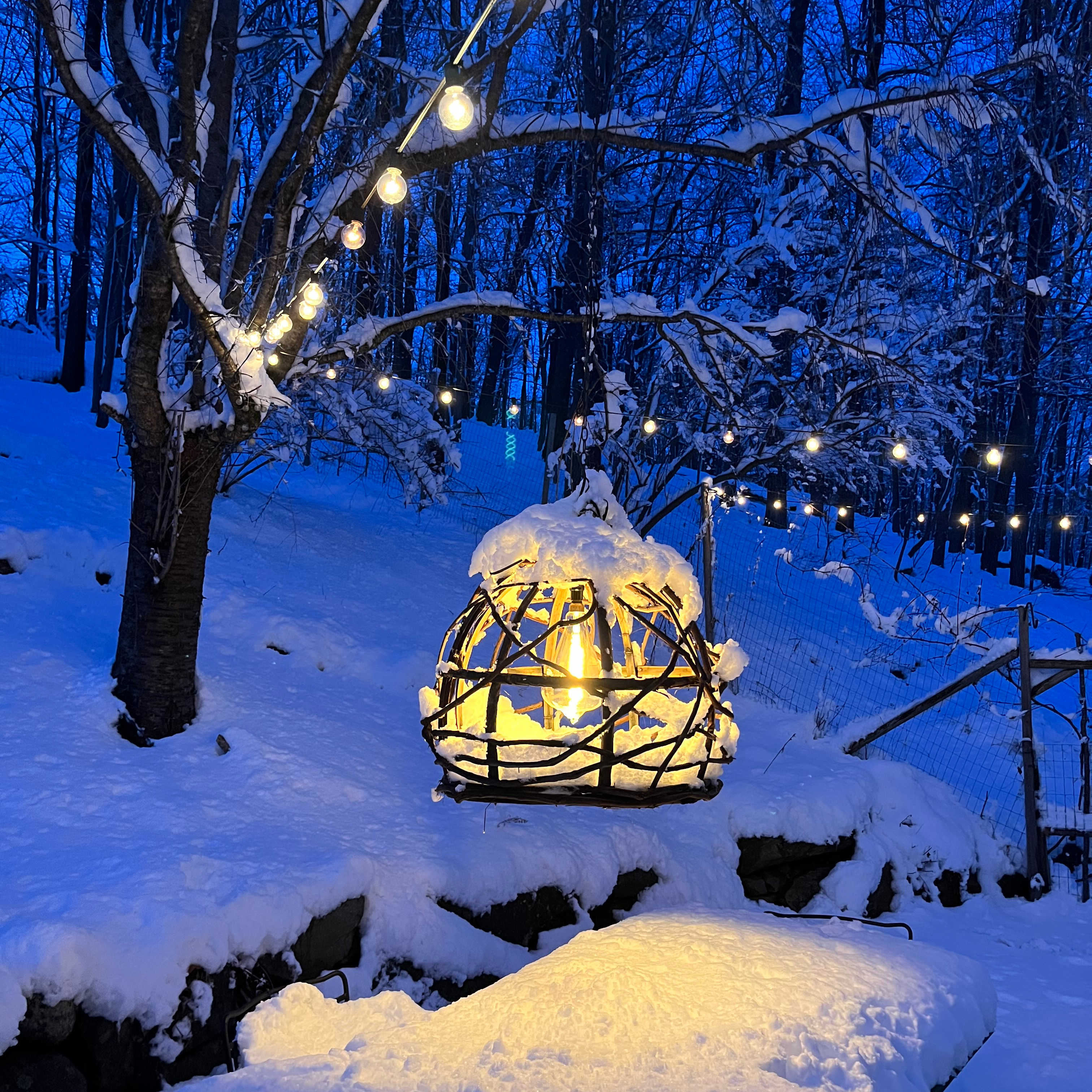 nightsnow nightsnow